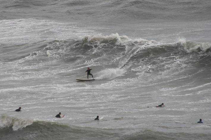 Tony surfing the marina