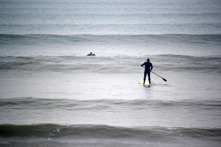 Sam surfing