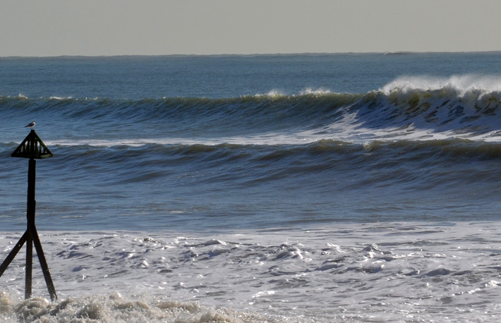 surfing east wittering