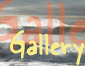 surfing pictures