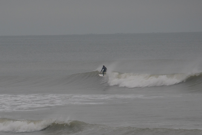 Firewire surf boards